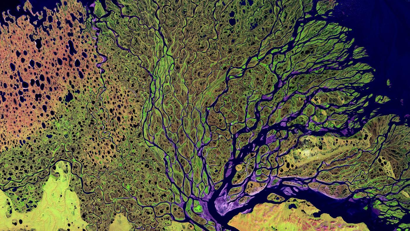 False colour satellite image of a river delta